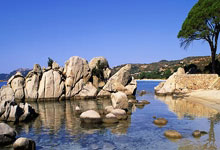 切尔西再胜对手，锁定前四席位